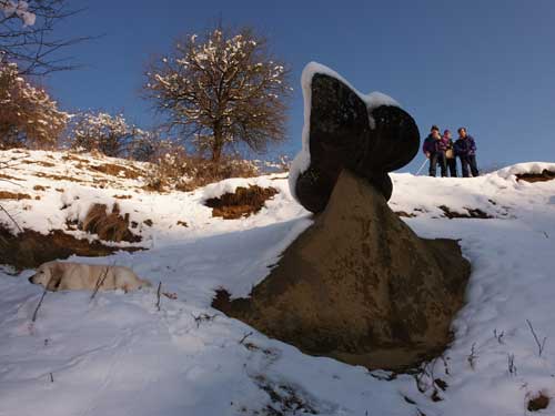 Foto La testosa zburatoare (c) Petru Goja